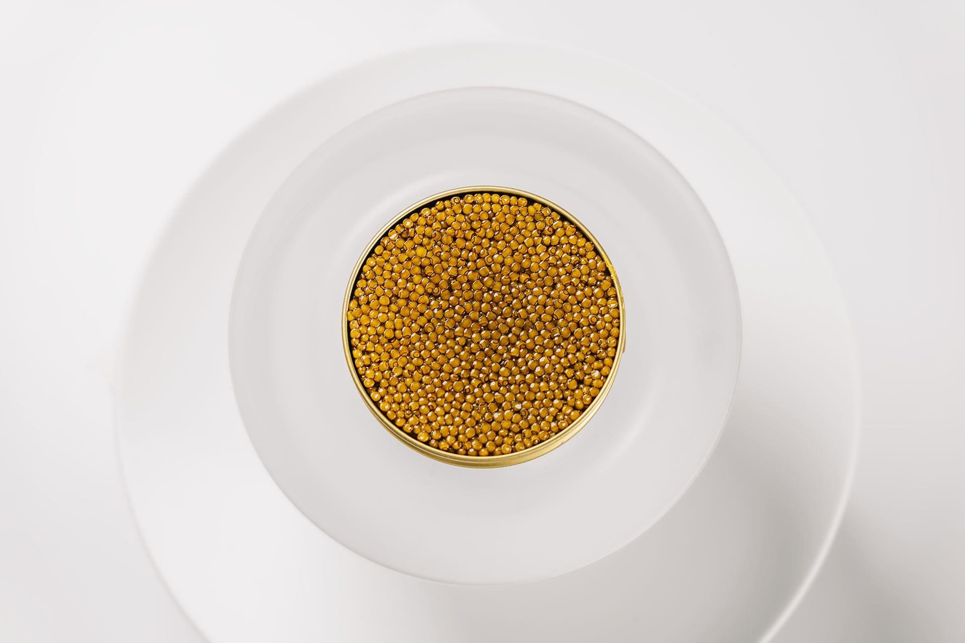 <em>This</em> is N25 Caviar