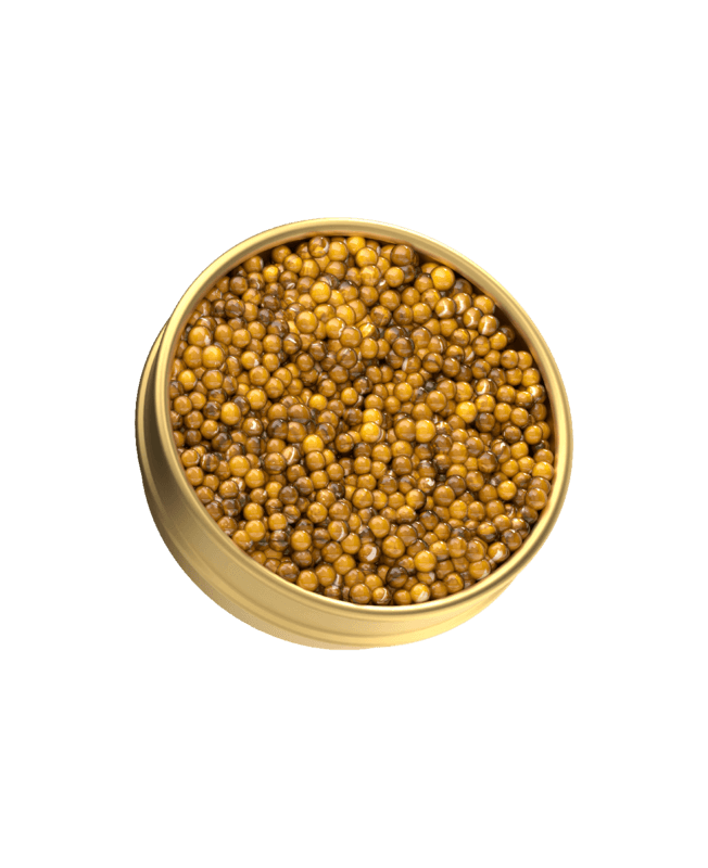 N25 Gold Edition Caviar