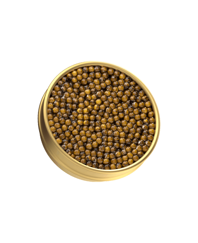 N25 XXL Edition Caviar